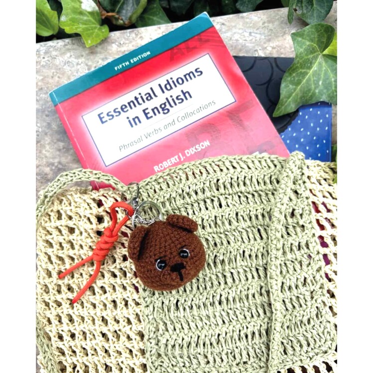 بگ چارم خرس قهوه ای