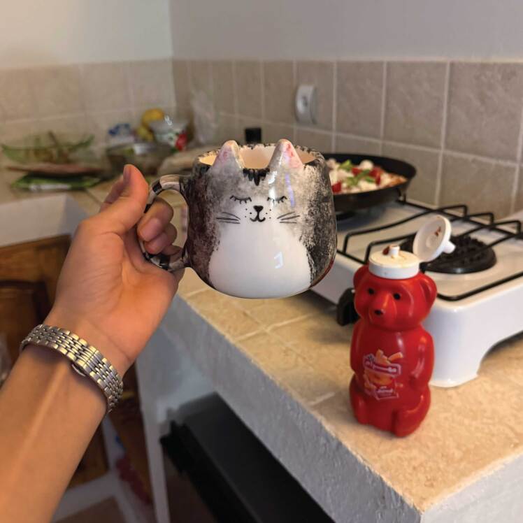 ماگ گربه